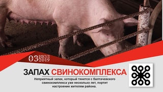 НОВОСТИ Балтачево : Запах свинокомплекса