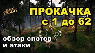 Black Desert (MMORPG - ИГРЫ) - 🏋 Прокачка в BDO с 1 по 62 уровень в 2018 + фарм