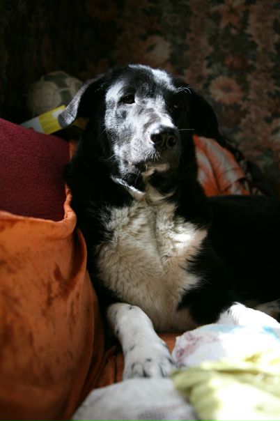 №73, Lenka Rusakova, 39 лет, Санкт-Петербург №73, Lenka Rusakova, 39 лет, Санкт-Петербург