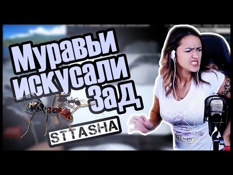 Муравьи искусали Зад, Школьные истории. Shortcut Пересказ