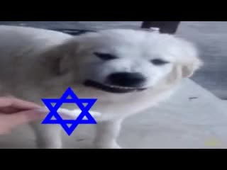 Видео от Bjrn Lund
