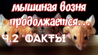 Дворкин - ФАКТЫ.