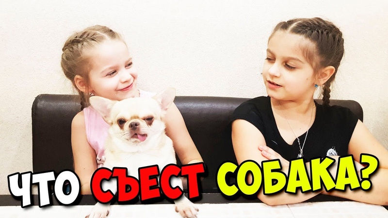 Что съест
