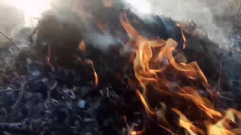 Smoke and