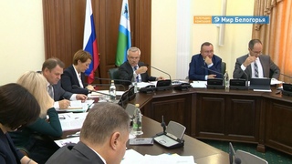 Ставку на бортничество сделают в Белгородской области