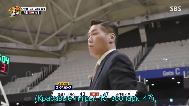 Handsome Tiger ер 9 рус авто