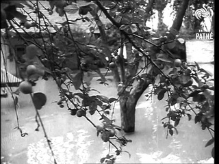 Fighting The Floods In Hungary (1950-1959)