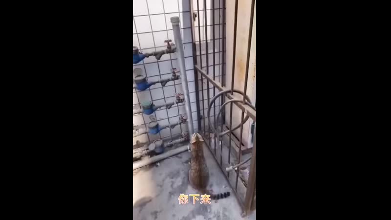 Мама спешит на