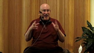 How Would You Describe Enlightenment? ~ Shinzen Young answers