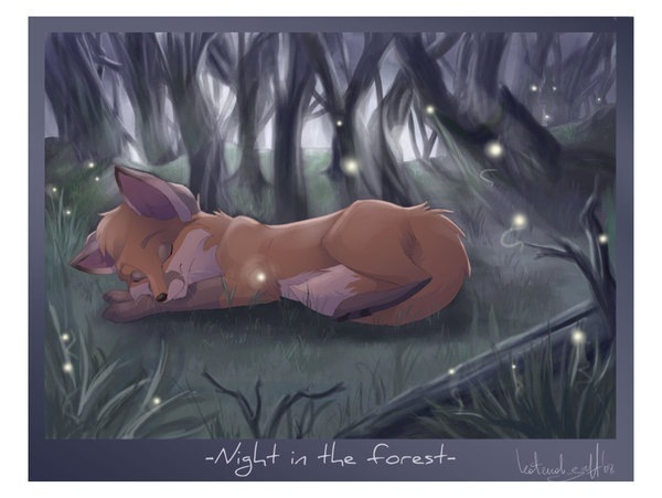 №12, Mad Fox, 42 года, Москва №12, Mad Fox, 42 года, Москва