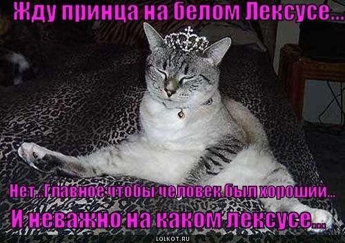 №37, Дарья Жмаченко, Paris №37, Дарья Жмаченко, Paris