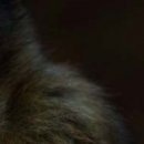 №35, Светлана Маслова, Николаев №35, Светлана Маслова, Николаев