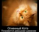 Фотография Василий Серкин