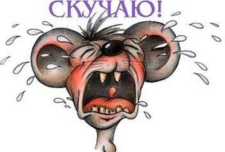 №171, Роман Элкснит, 39 лет, Минеральные Воды №171, Роман Элкснит, 39 лет, Минеральные Воды