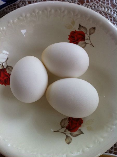 №71, Nikolay Puzyrev, 39 лет, Рязань №71, Nikolay Puzyrev, 39 лет, Рязань