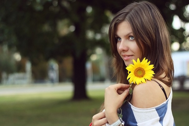 №83, Нолла Малова, Донецк №83, Нолла Малова, Донецк