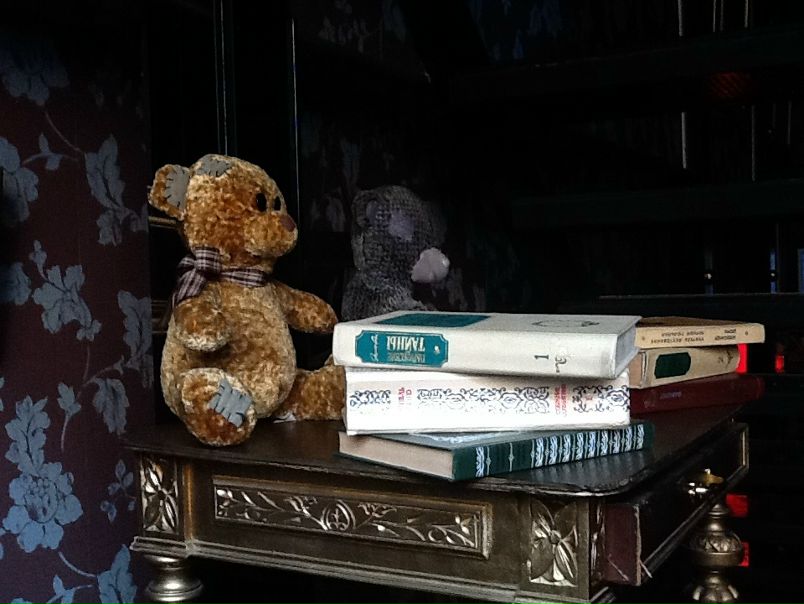 №17, Владимир Владимирович №17, Владимир Владимирович