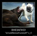 Фотография Ксения Сологубова