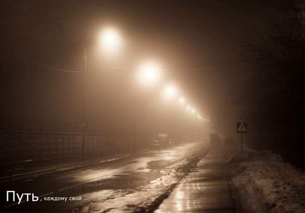 №116, Алексей Должанов, 41 год №116, Алексей Должанов, 41 год