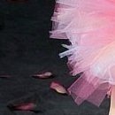 №44, Наталья Куприянова, Новосибирск №44, Наталья Куприянова, Новосибирск