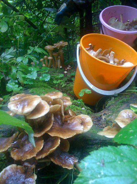 №106, Андрей Ломаев, 41 год, Ижевск №106, Андрей Ломаев, 41 год, Ижевск