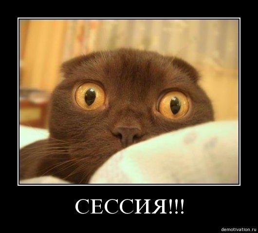 №82, Анастасия Стрельникова, Киев №82, Анастасия Стрельникова, Киев