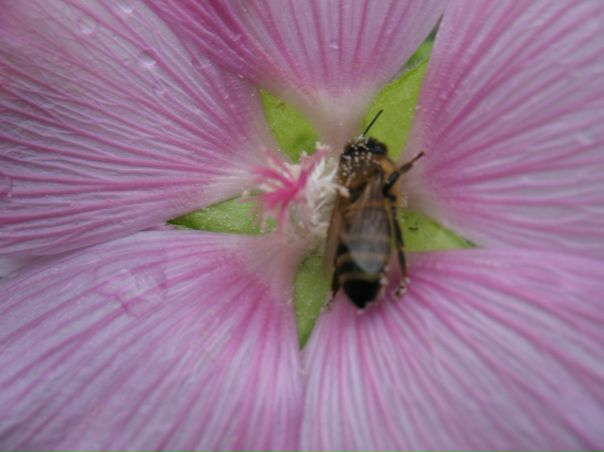 Татьяна Молдан фото профиля #3