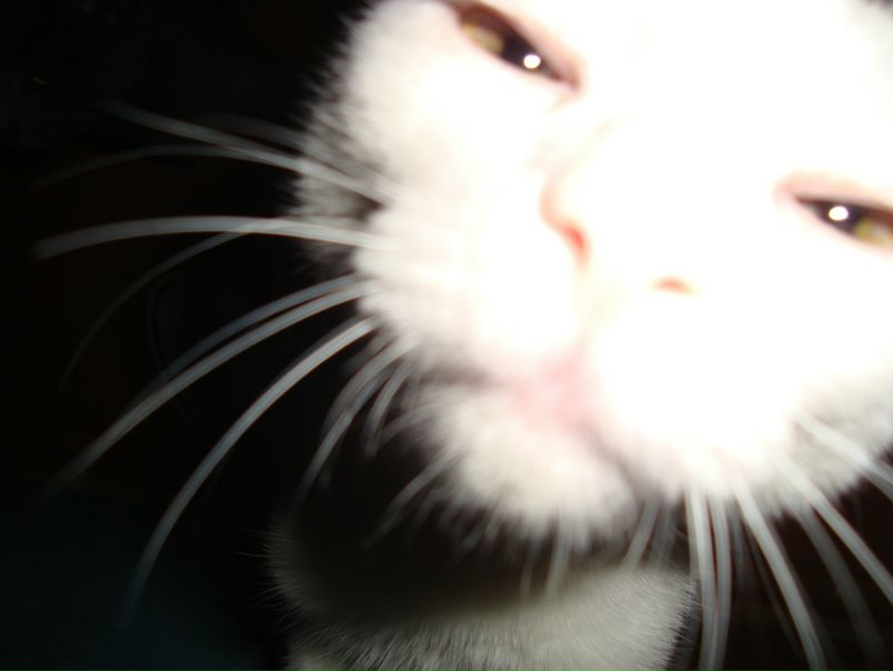 №101, Валентин Придеин, 26.09.1986, Севастополь №101, Валентин Придеин, 26.09.1986, Севастополь