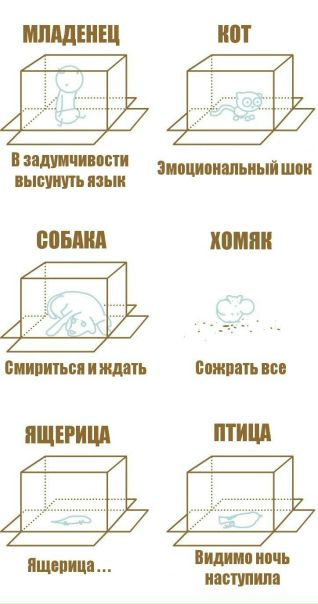 №23, Саша Хлебников, 41 год, Днепр (Днепропетровск) №23, Саша Хлебников, 41 год, Днепр (Днепропетровск)