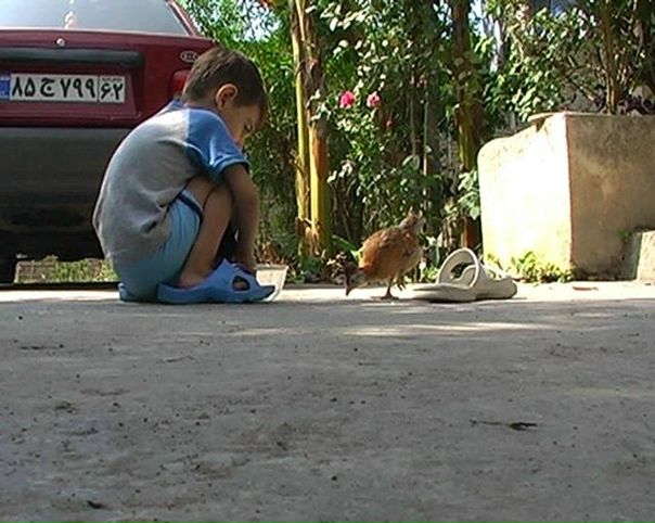 №26, Mohammadreza Saravi №26, Mohammadreza Saravi