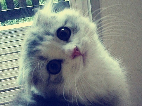 №28, Лада Федулова, Genève №28, Лада Федулова, Genève