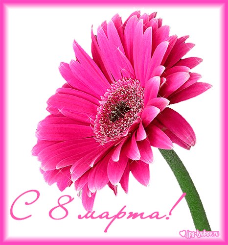 Лариса Владимировна | 