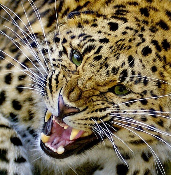 №10, Светлана Фомченко, 41 год №10, Светлана Фомченко, 41 год