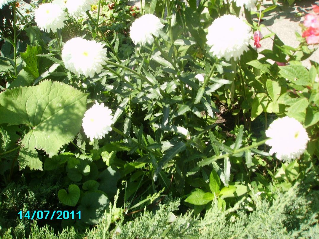 Ольга Моисеева | Новосибирск