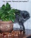 Рустем Зитляев фотография #49