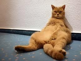 №130, Ігор Левицький, Одесса №130, Ігор Левицький, Одесса