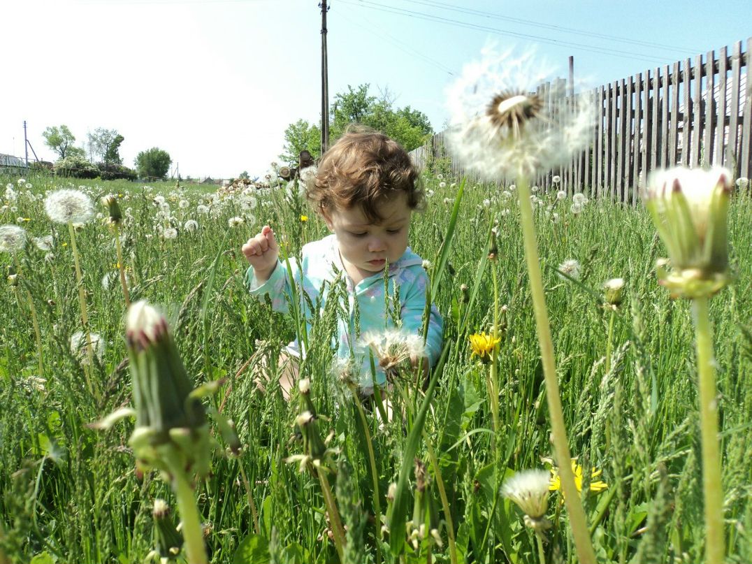 Светлана Алехина | Мичуринск