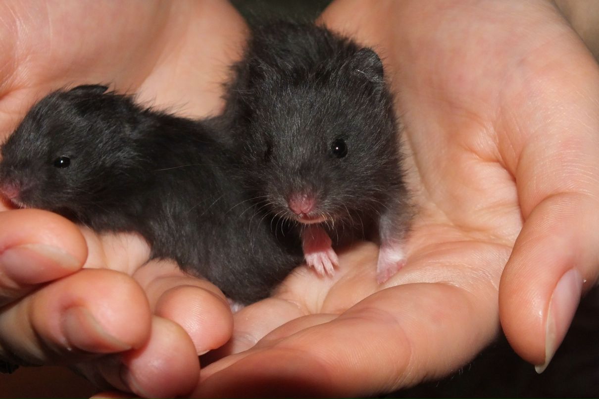 Виктория Иванова | Омск