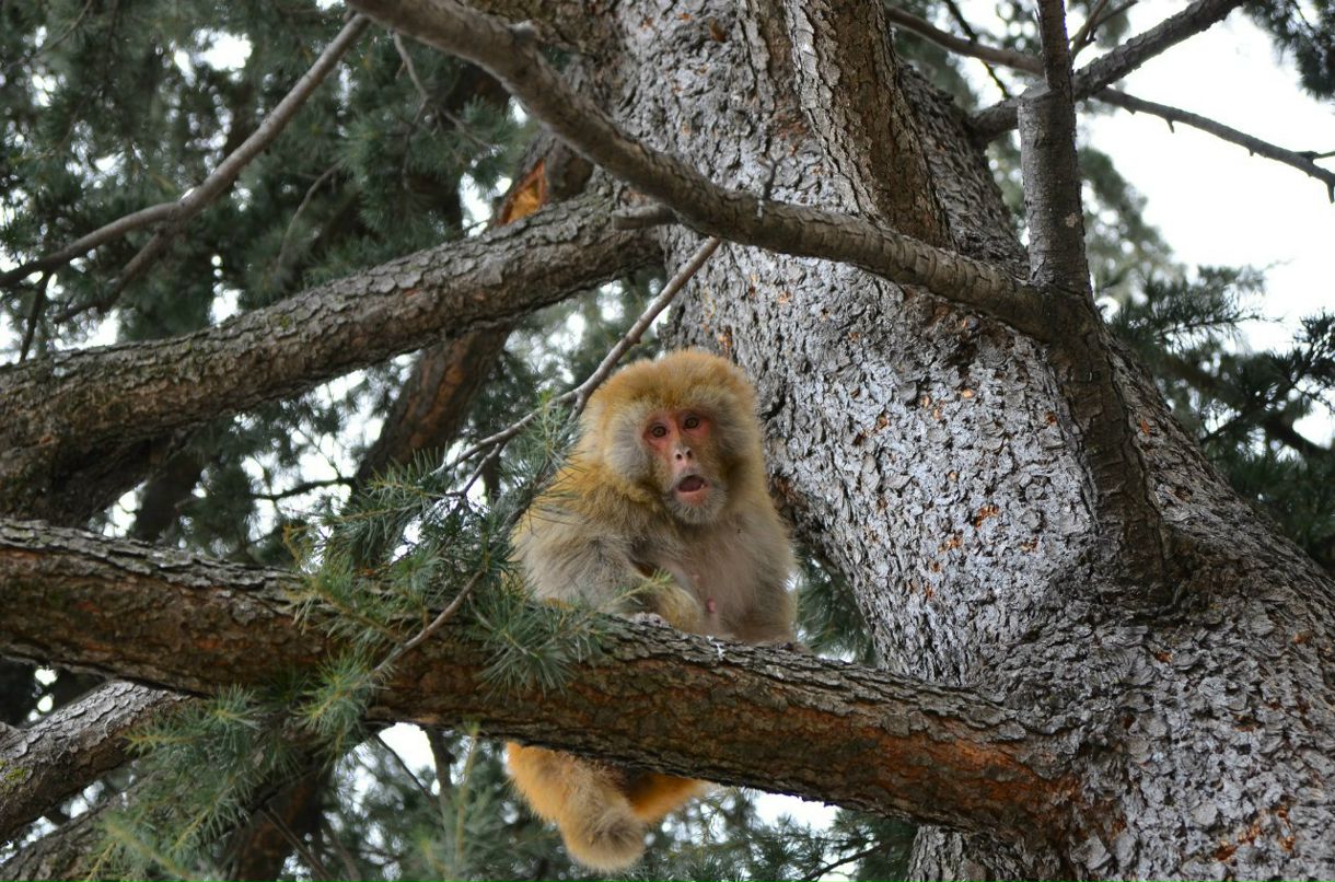 Виталий Осауленко | Москва