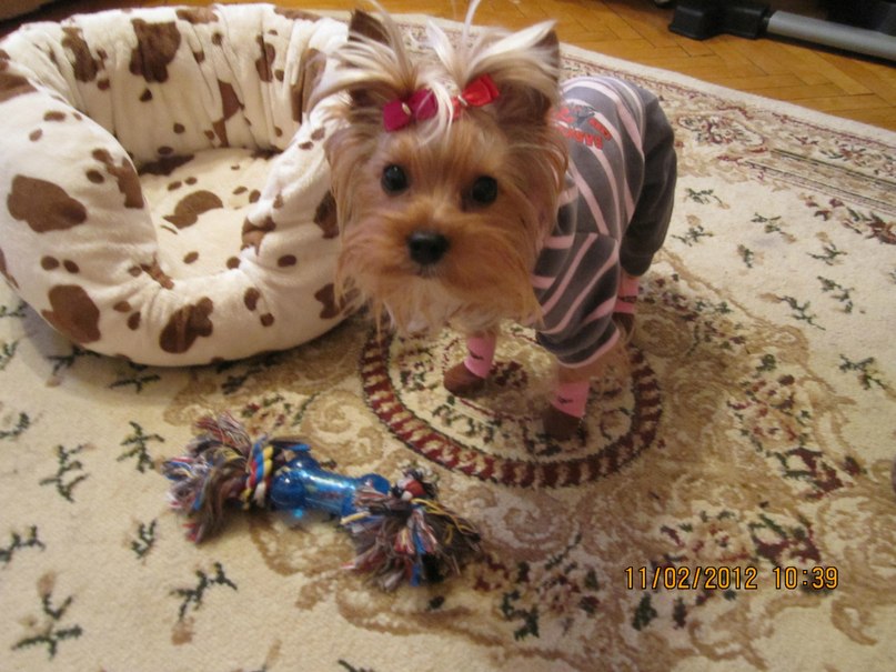 Жанна Сутормина | Москва