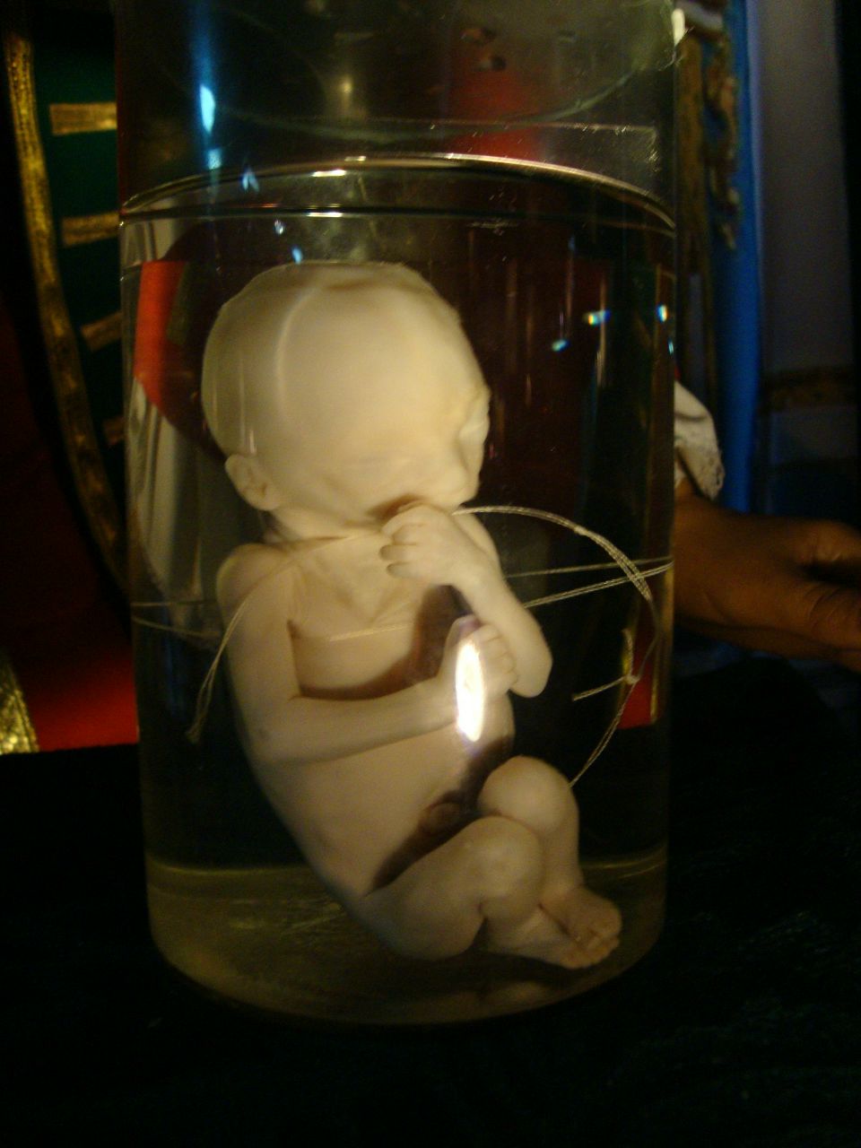 Алёна Пыльнова | Баку