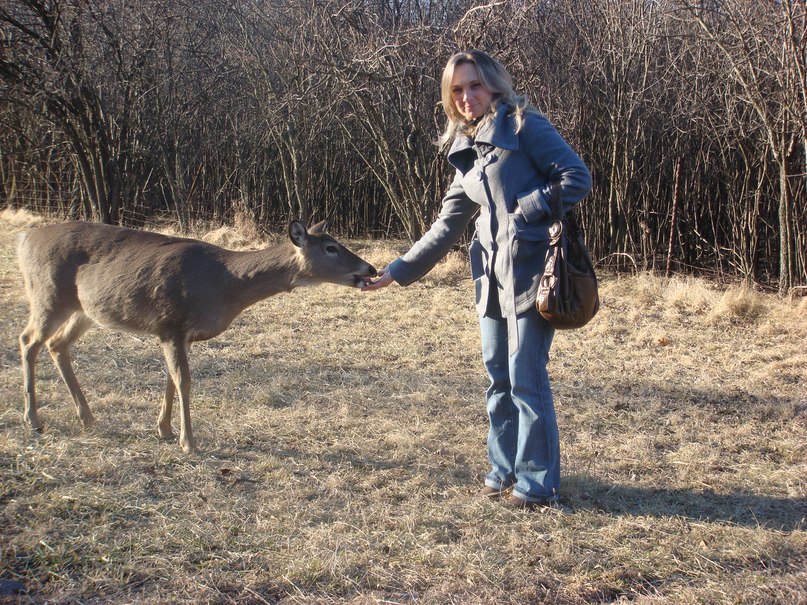 Nadija Dovgan | Тернополь
