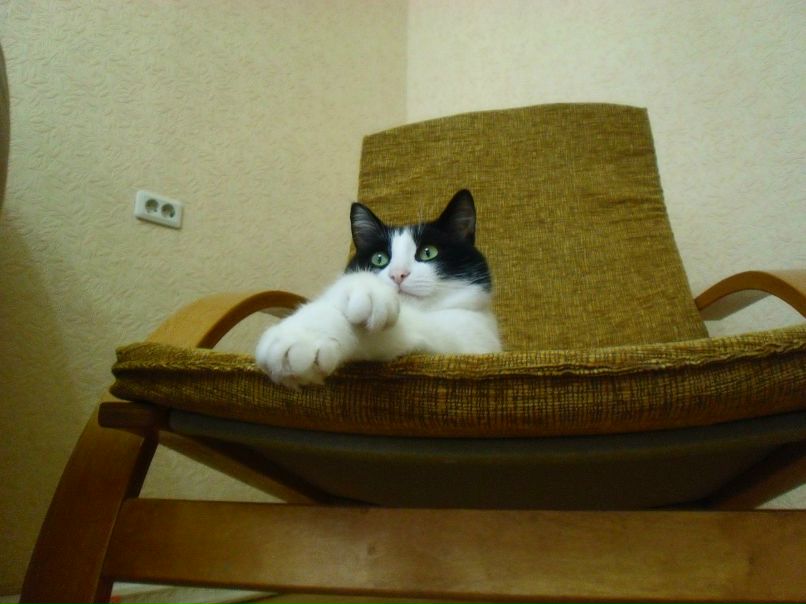 Александр Шкутько | Еманжелинск