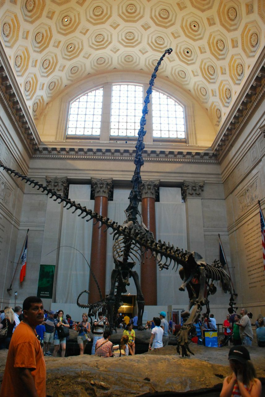 Наталья Бороздина | Москва