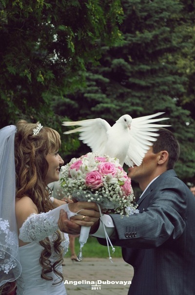 №9, Евгений Титенок №9, Евгений Титенок