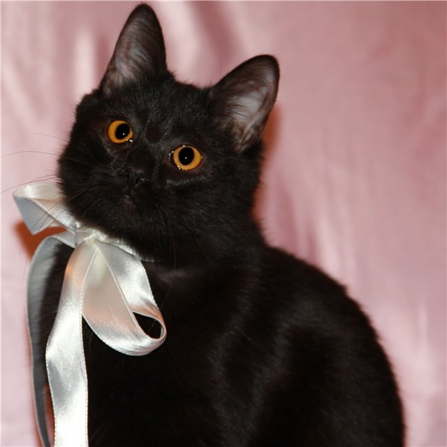 Екатерина Казаданова | Москва