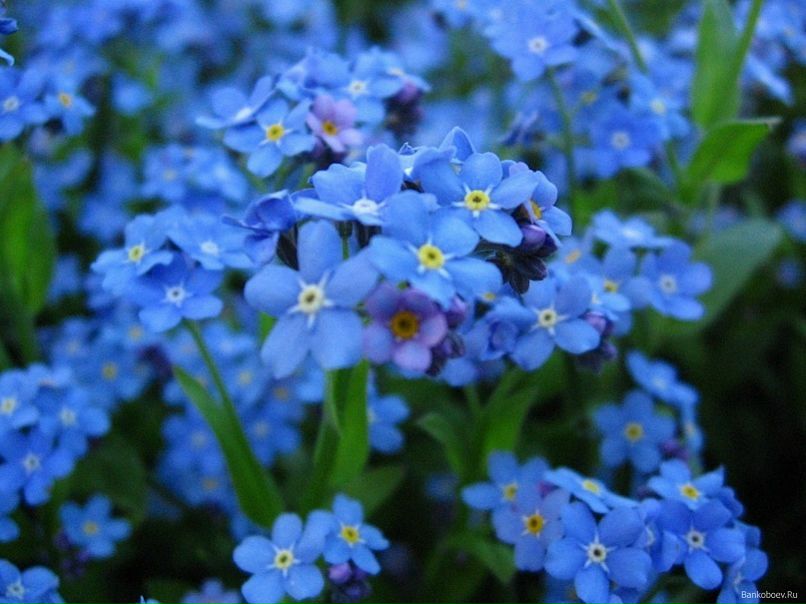 №17, Mihaïl Zablodski, 37 лет, Киев №17, Mihaïl Zablodski, 37 лет, Киев