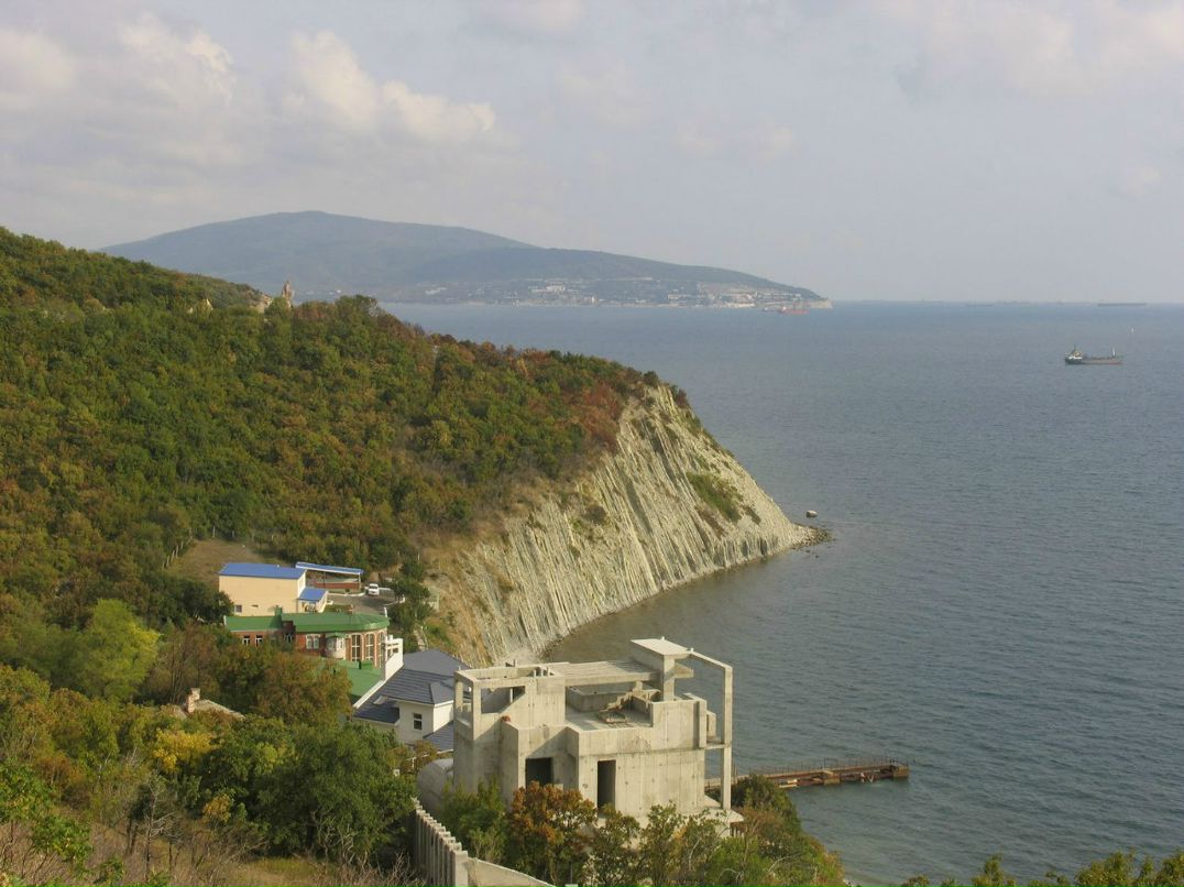 Александр Вежновец | 