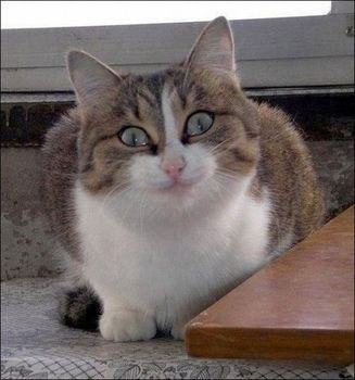 Анастасия Рогова | Москва