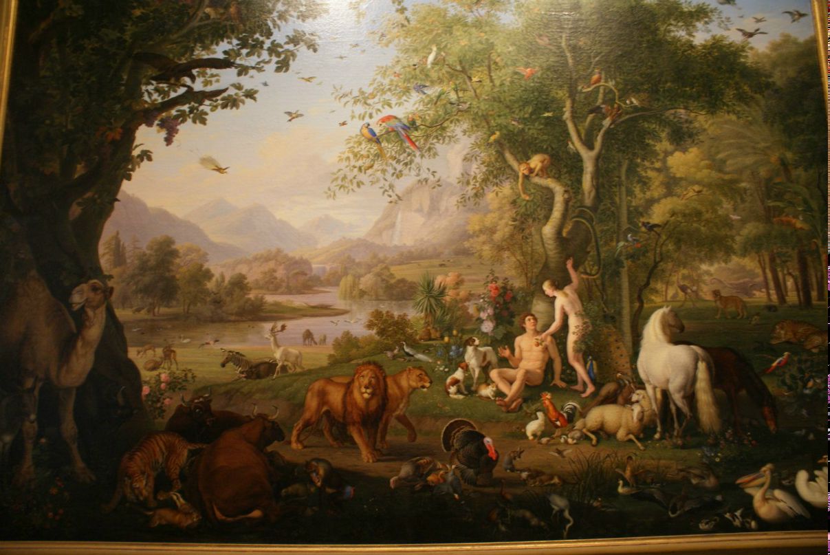 Екатерина Широкова | Москва